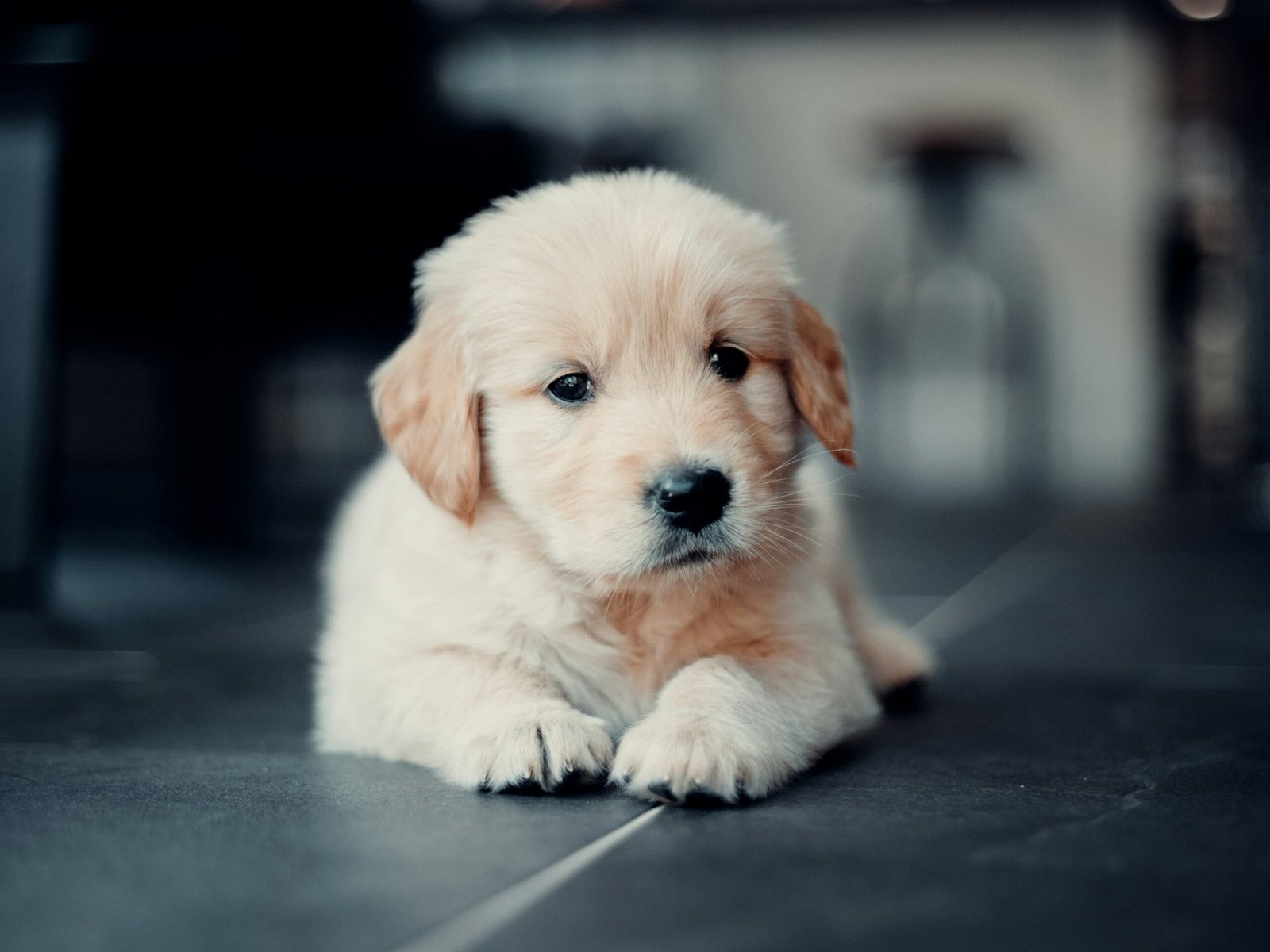 Services nick van der vegt apvb8kmih5w unsplash